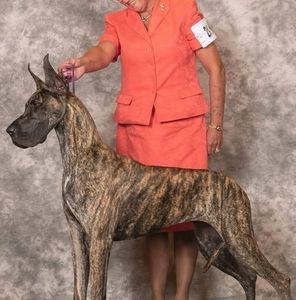 Meet your Posher, Darlene